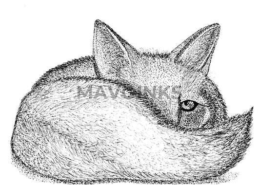 Handmade Fox Drawing Print 5X7