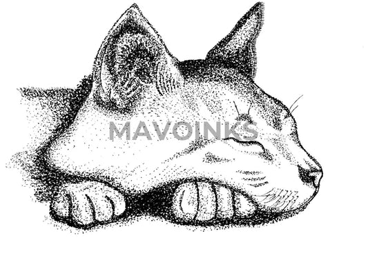 Stipple Of Cat Hand Drawing 5X7 Print