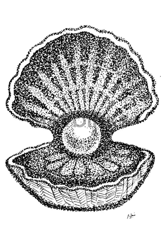 Stipple Print Of A Pearl In Sea Shell 5X7